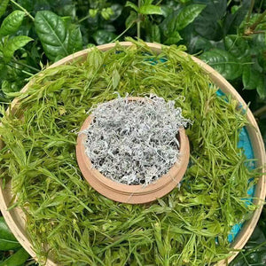 Té de hierbas medicinales chinas_Té de vid Enshi_100g 